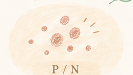 Minh họa trục Pigmented và Non-Pigmented trong Baumann Skin Type.