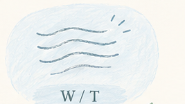 Minh họa trục Wrinkle-Prone và Tight trong Baumann Skin Type.